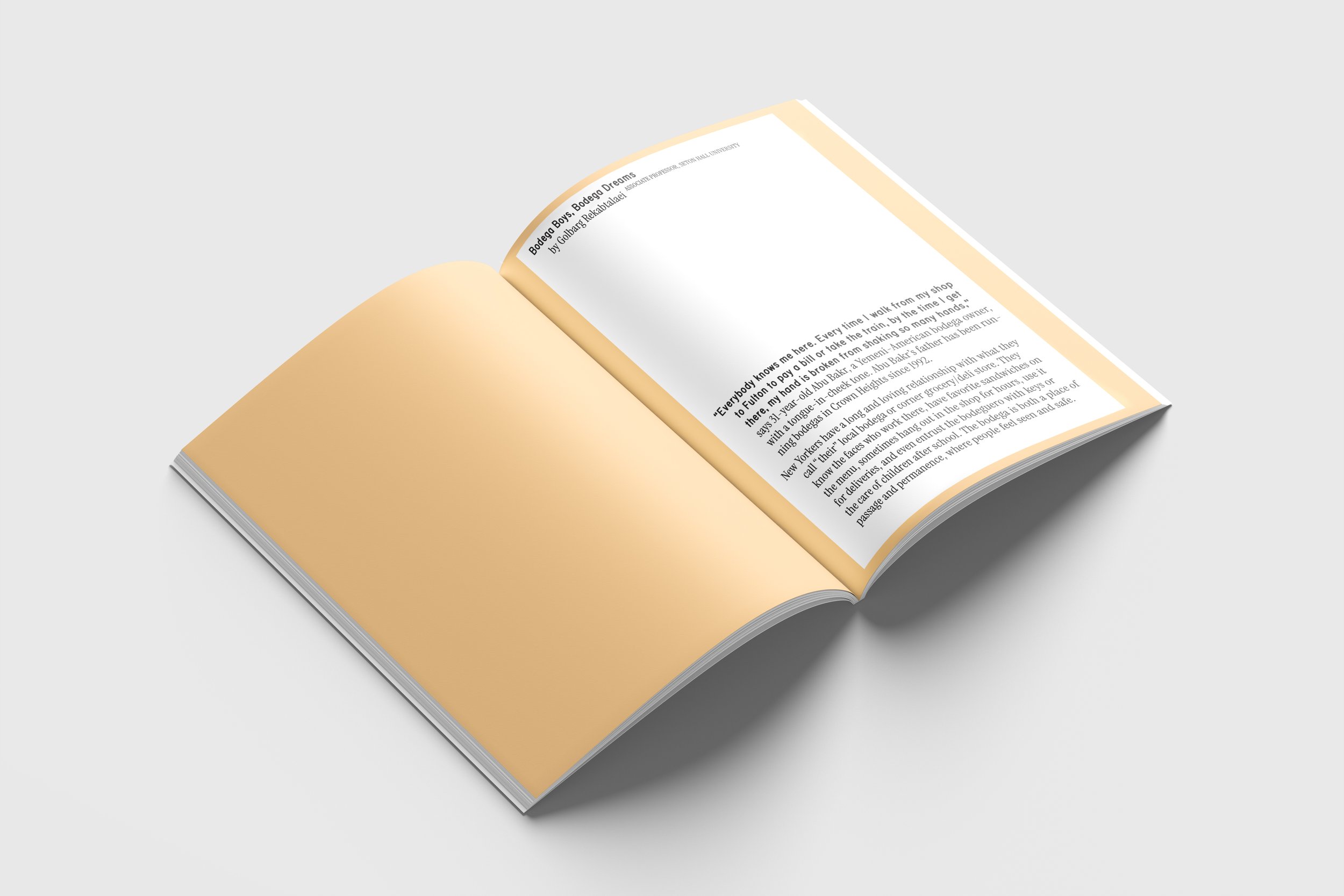 BB_MOCKUP3.jpg