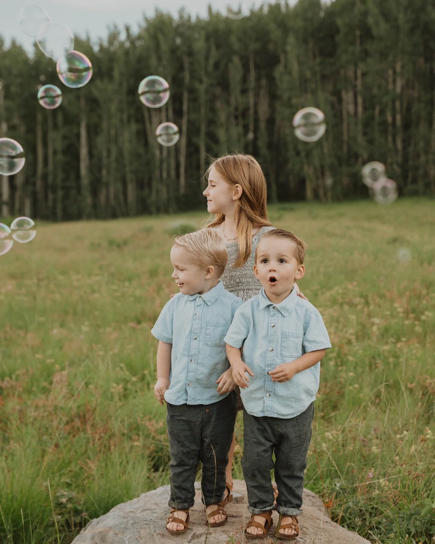 I haven&rsquo;t posted many family sessions lately since I&rsquo;ve been so busy with summer weddings! But here is your reminder, family photo season is upon us 🤪🤪