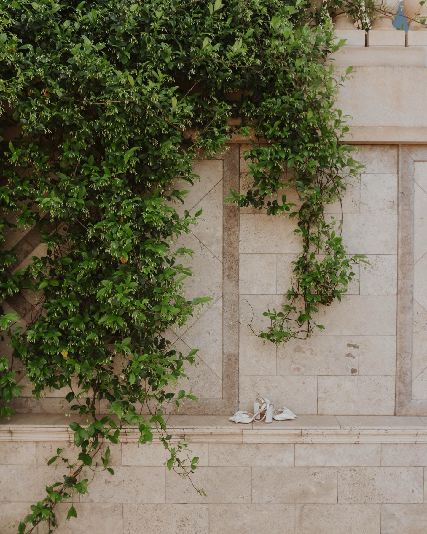 Here to capture the quiet details, the big moments, and everything in between 🤍

[wedding day details, luxury photography, detail shots, wedding day shot list, utah photographer, travel wedding photographer, lace wedding dresses, first looks, backya