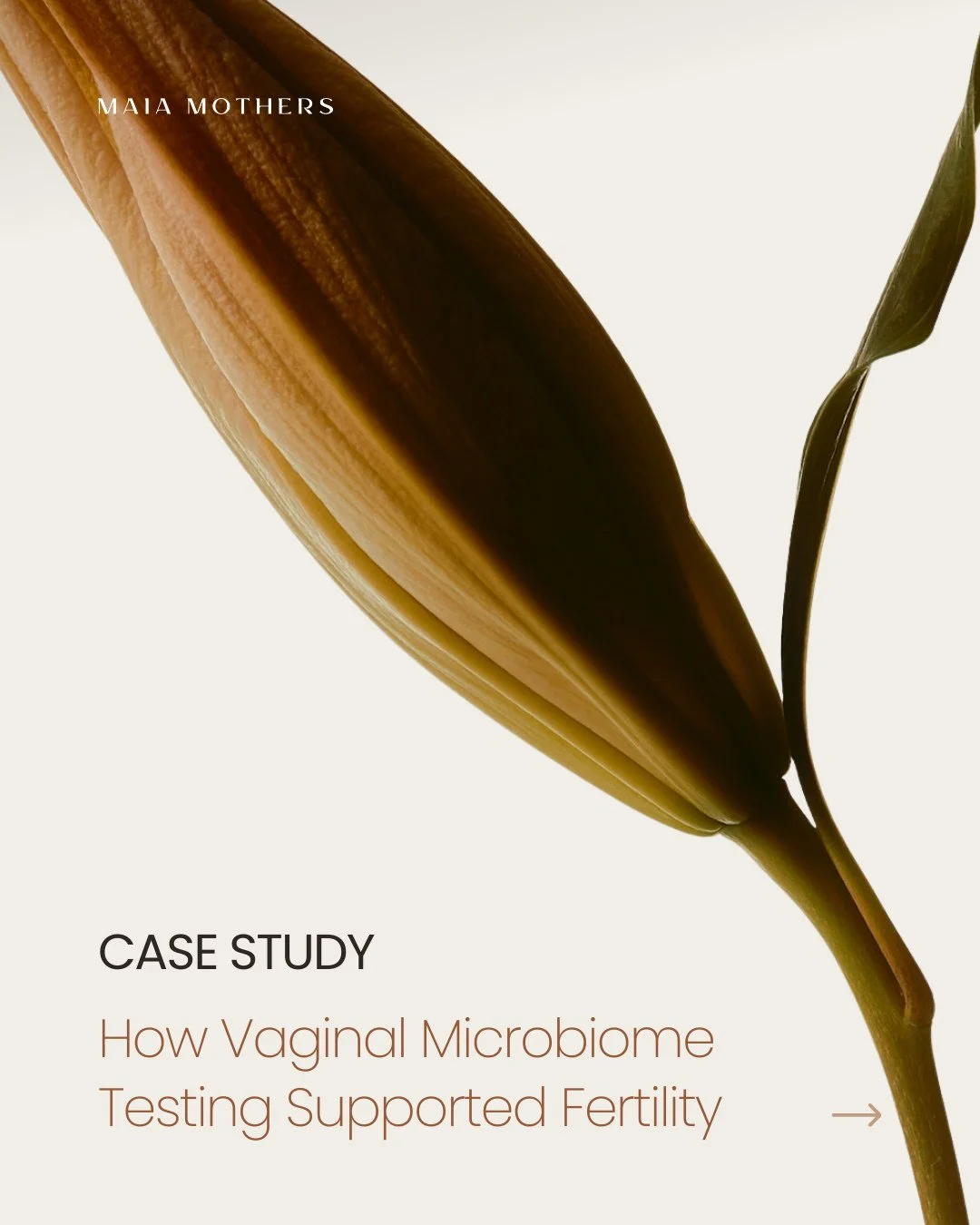 Fertility isn&rsquo;t just about ovulation or timing intercourse. The environment that sperm and an embryo travel through matters just as much.⁠
⁠
One of our clients had been struggling for years with &ldquo;unexplained&rdquo; infertility. When we ra