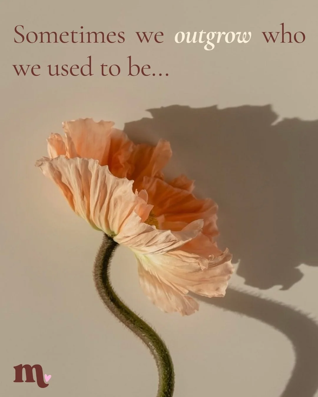One of the quiet tensions of mothering is identity conflict.

Women who were clear, driven and independent before children often experience a subtle disorientation after.

Not because they have lost themselves, but because their internal hierarchy of