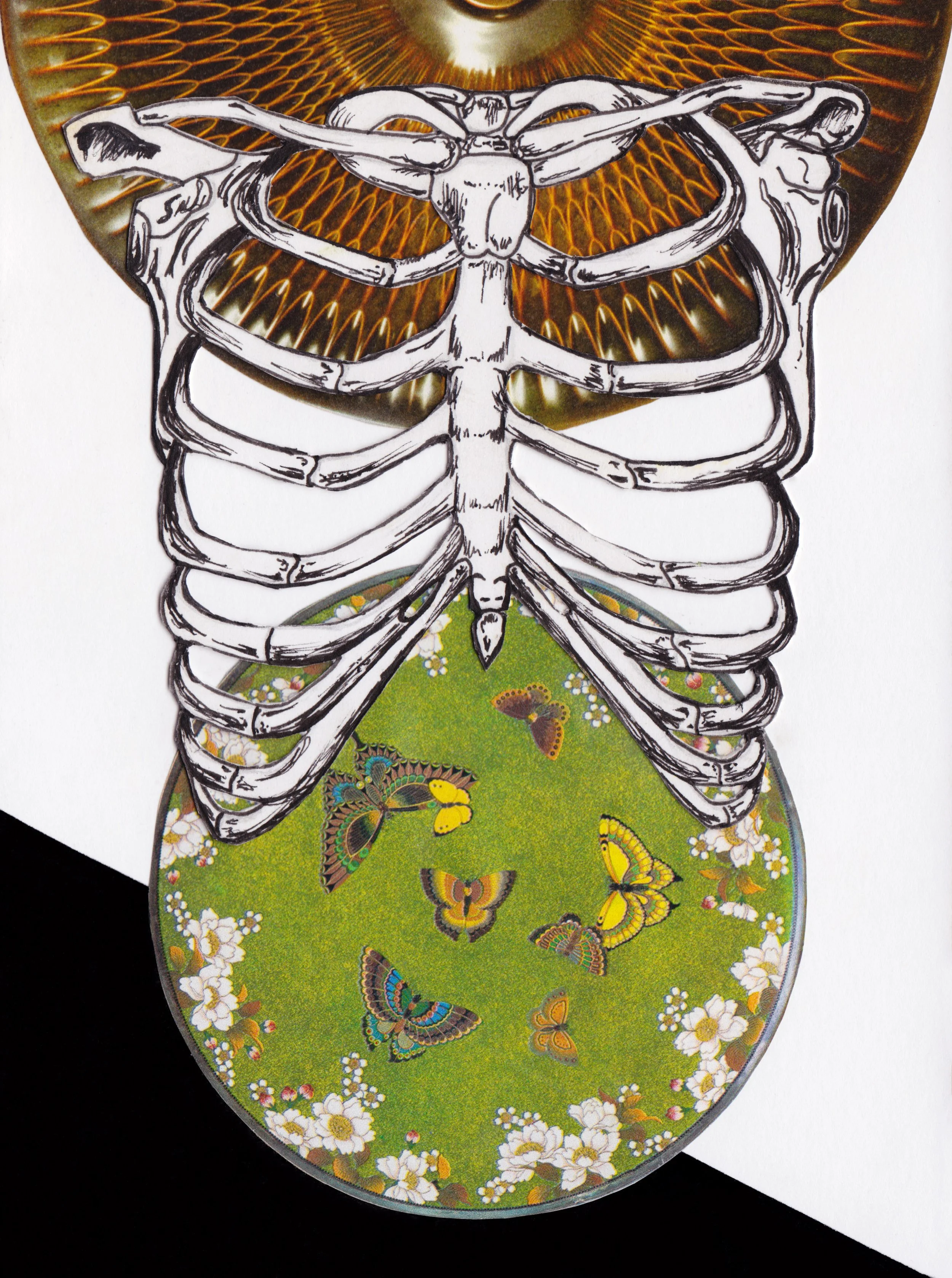 butterfly shape edit.JPG