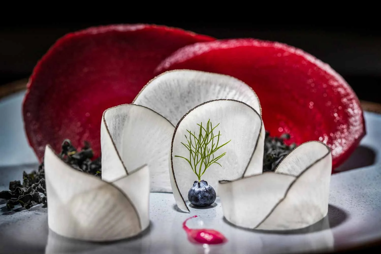 Food Photos