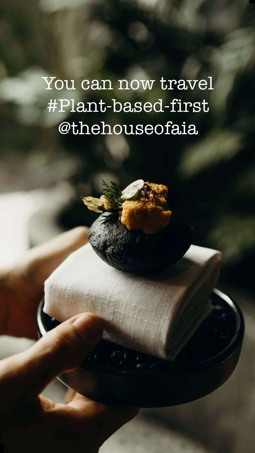 Vegan-story_1_Text.jpg