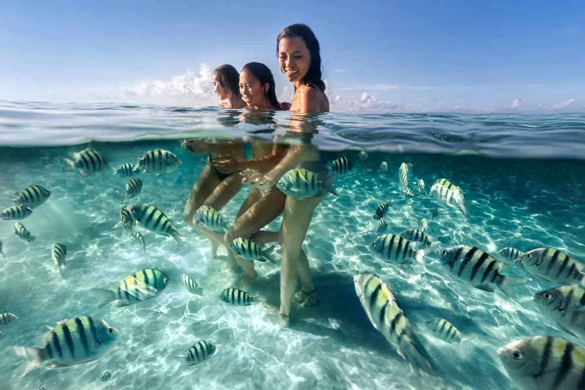 SWim_wFISH_V2.jpg