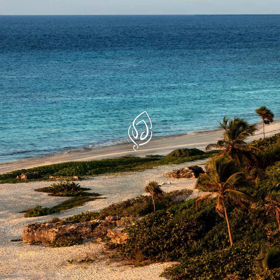 5-Palmaia-Beach-1.jpg