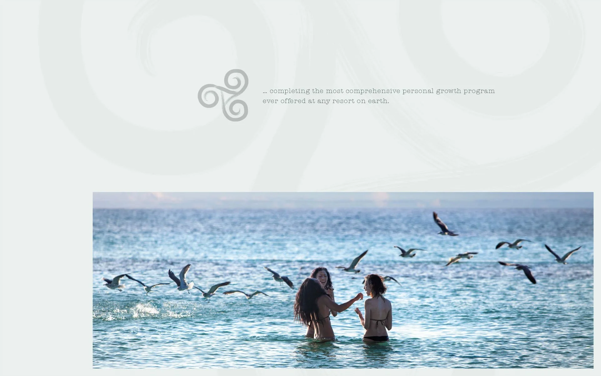 PALM_Deck_v1.8_LR-11.jpg