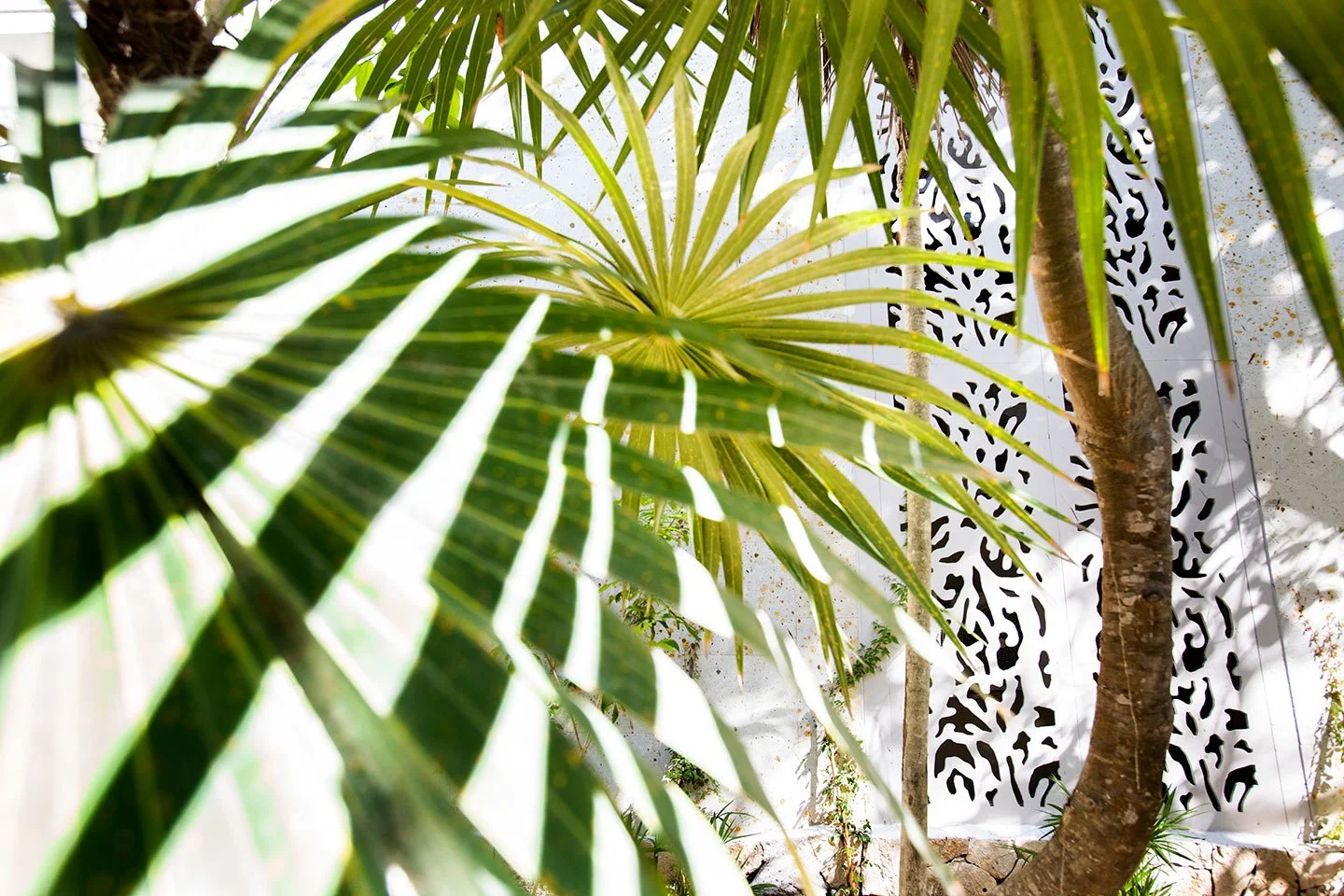 Palm-Wall-1.jpg