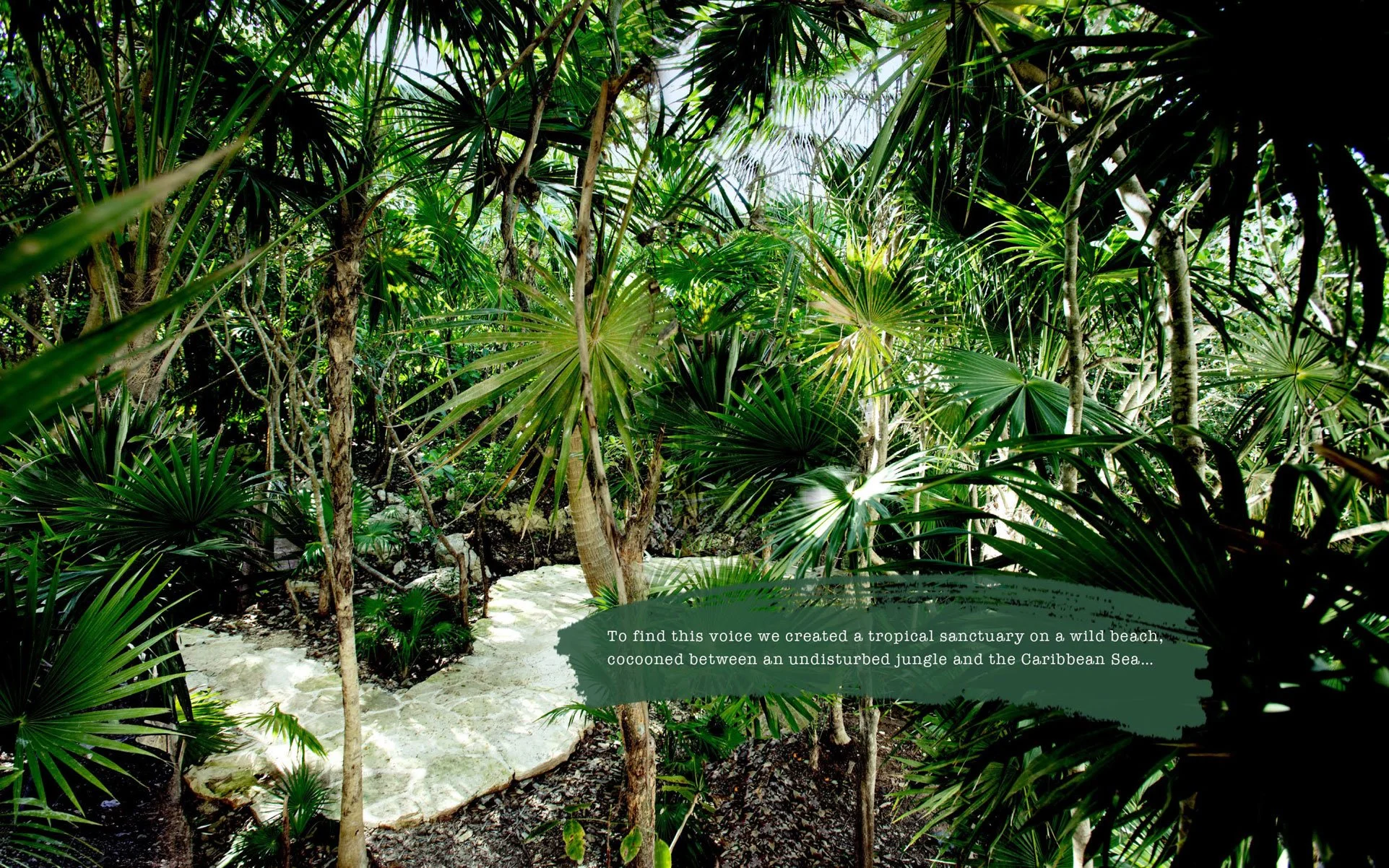 PALM_Deck_v1.8_LR-6.jpg