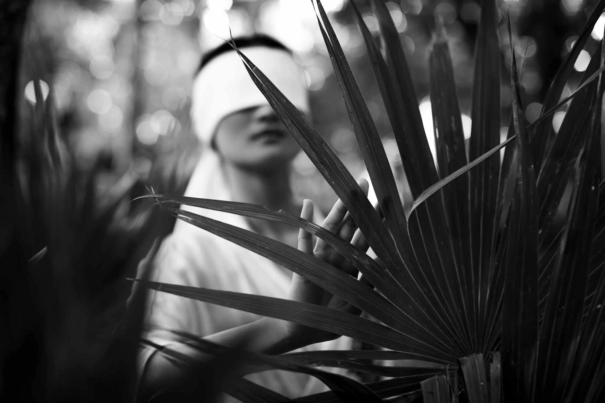 _P7A7206BW.jpg