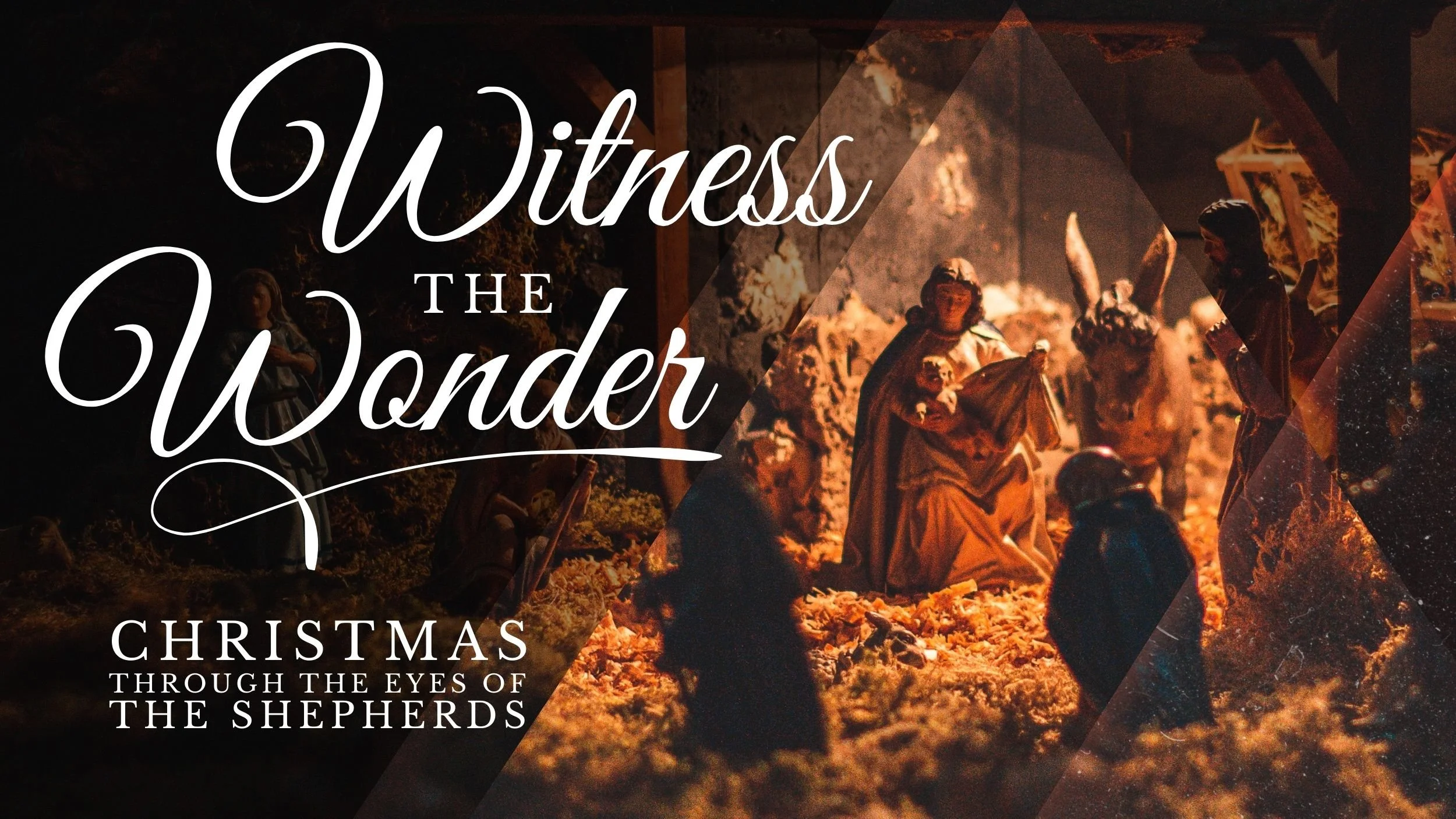 Christmas Through the Eyes of the Shepherds