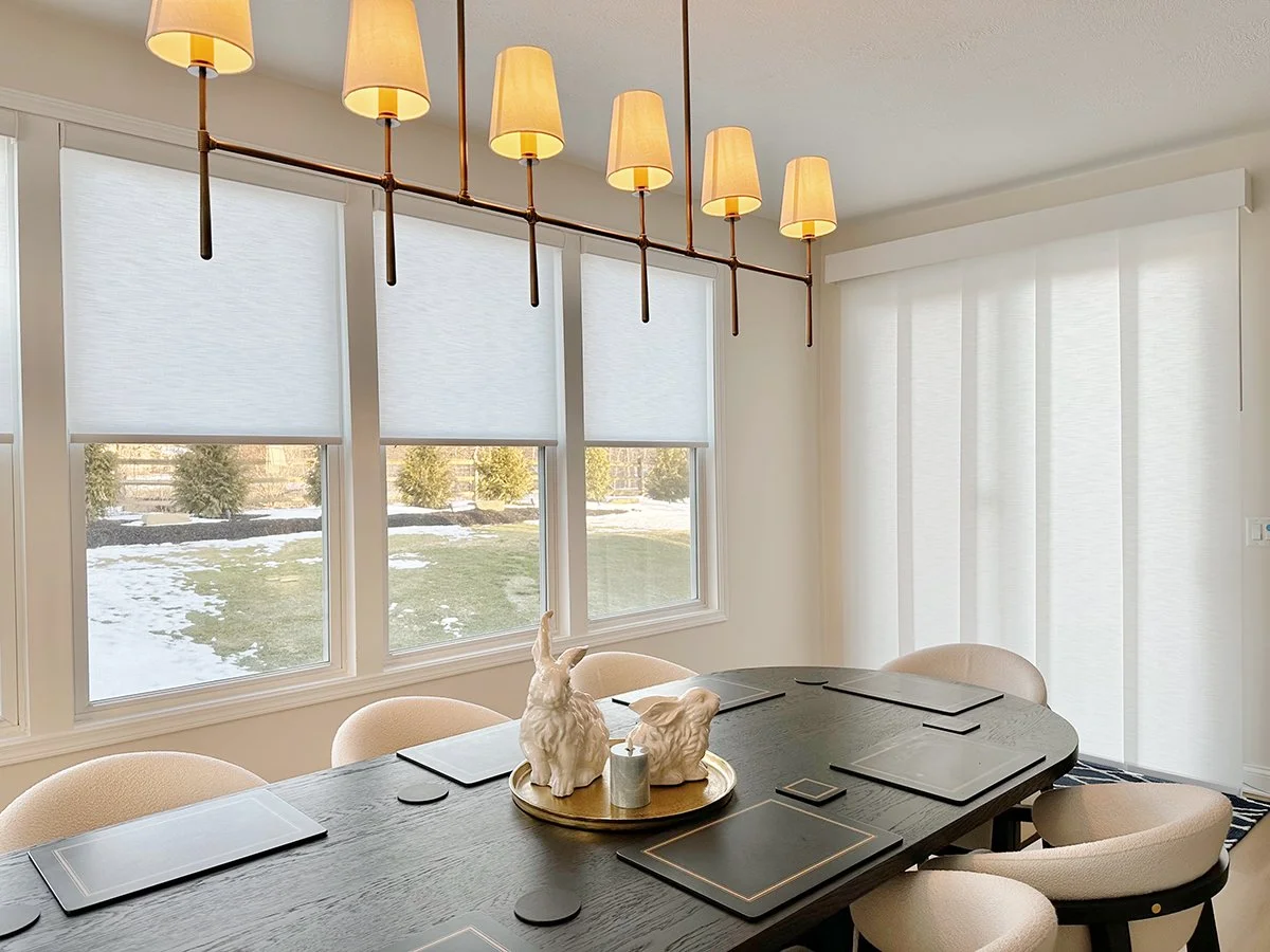 Motorized Roller Shades and Panel Track