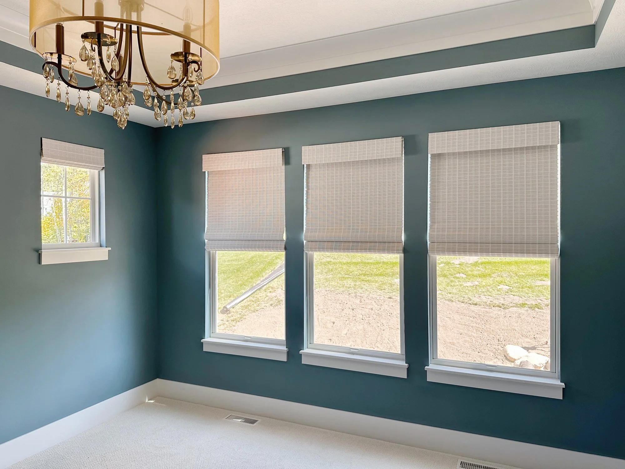 Motorized Woven Woods