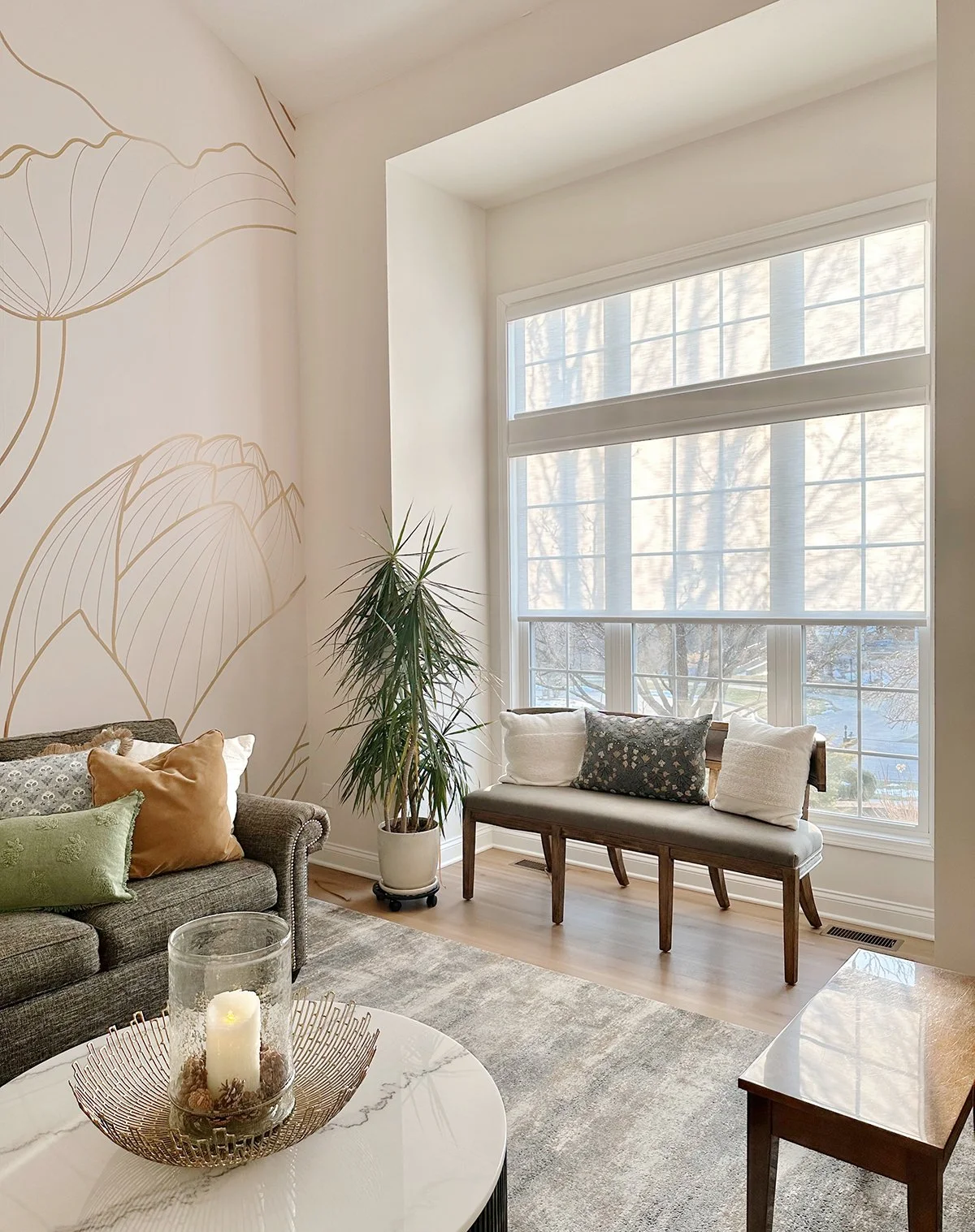 Motorized Roller Shades