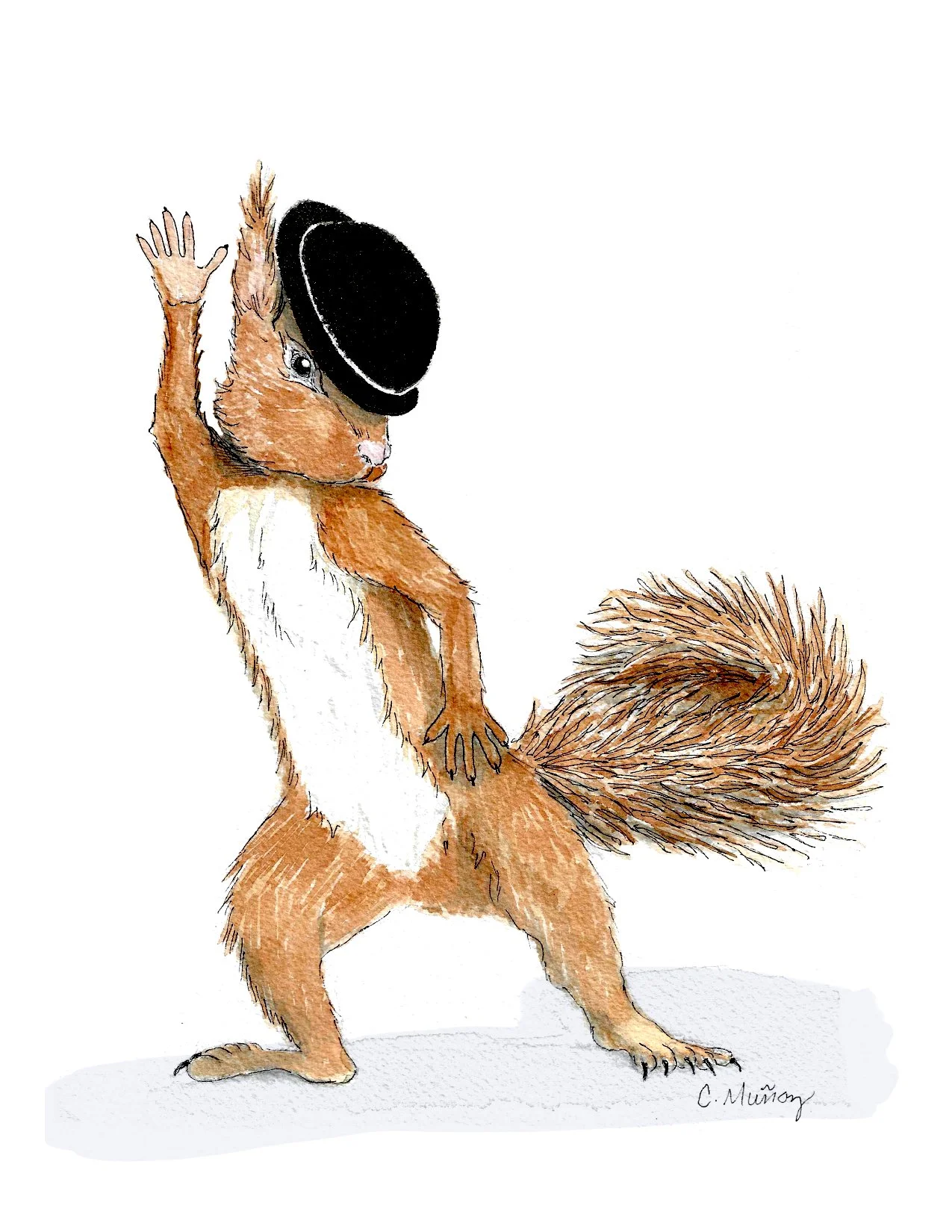 Fosse Squirrels