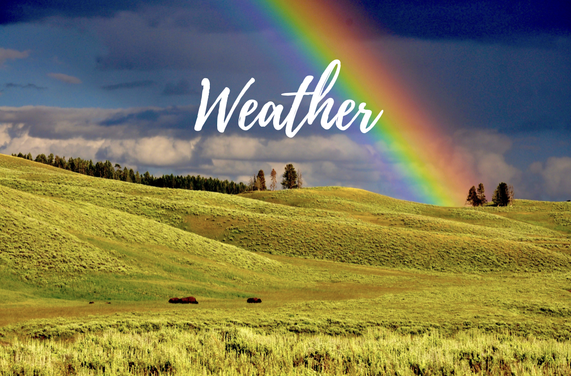 Weather Music Class - April 27th @ 10:00am in Spring Hill