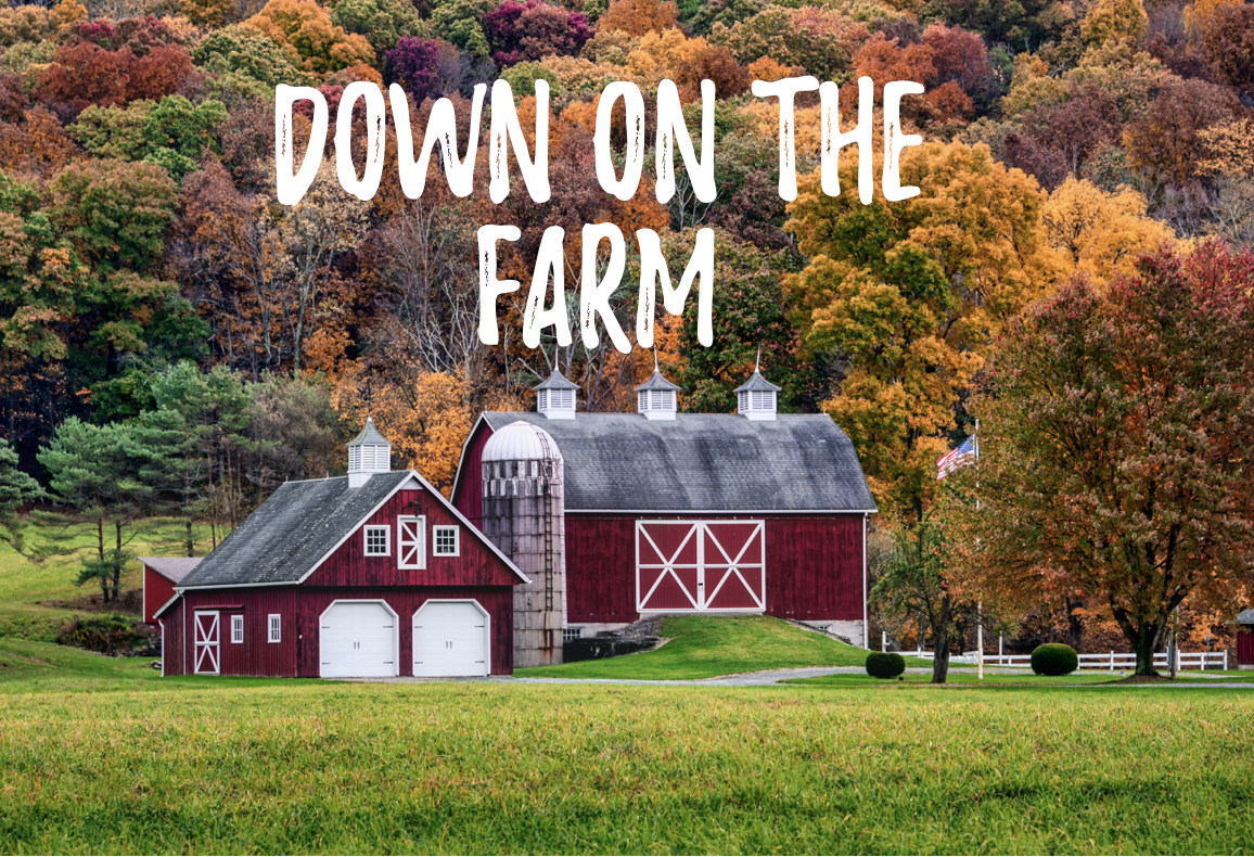 Down on the Farm Music Class - July 28th @ 9:30am in Franklin