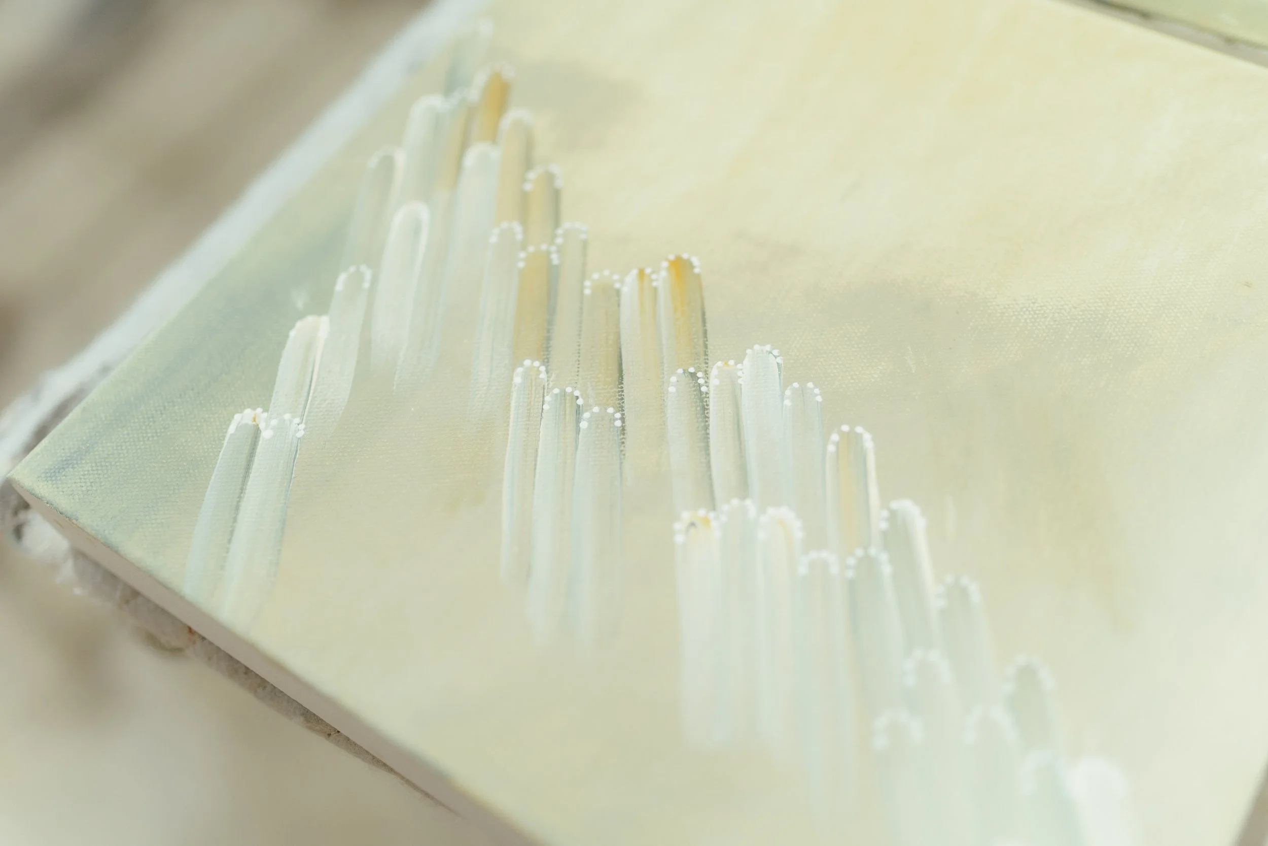 Blake Chaney Photography-18.jpg