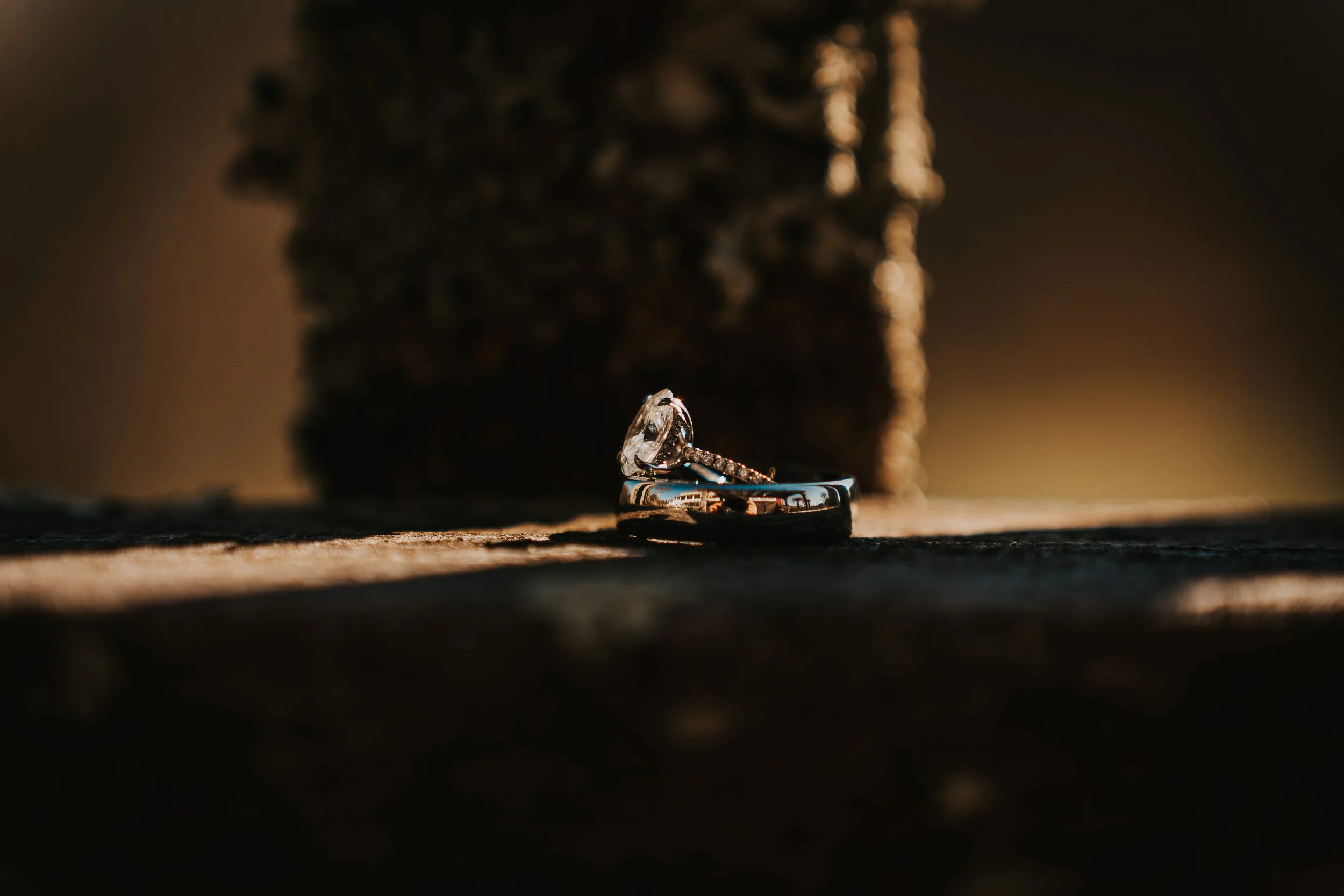 02 - Shannon & Jonathan-44.jpg