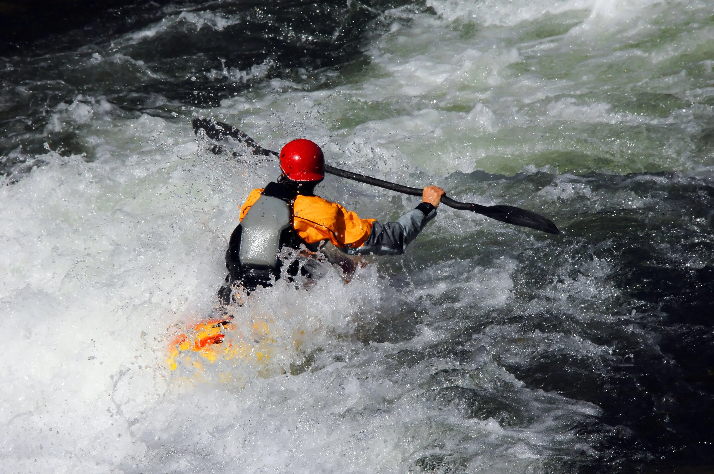 2026: Riding the Waves of Change