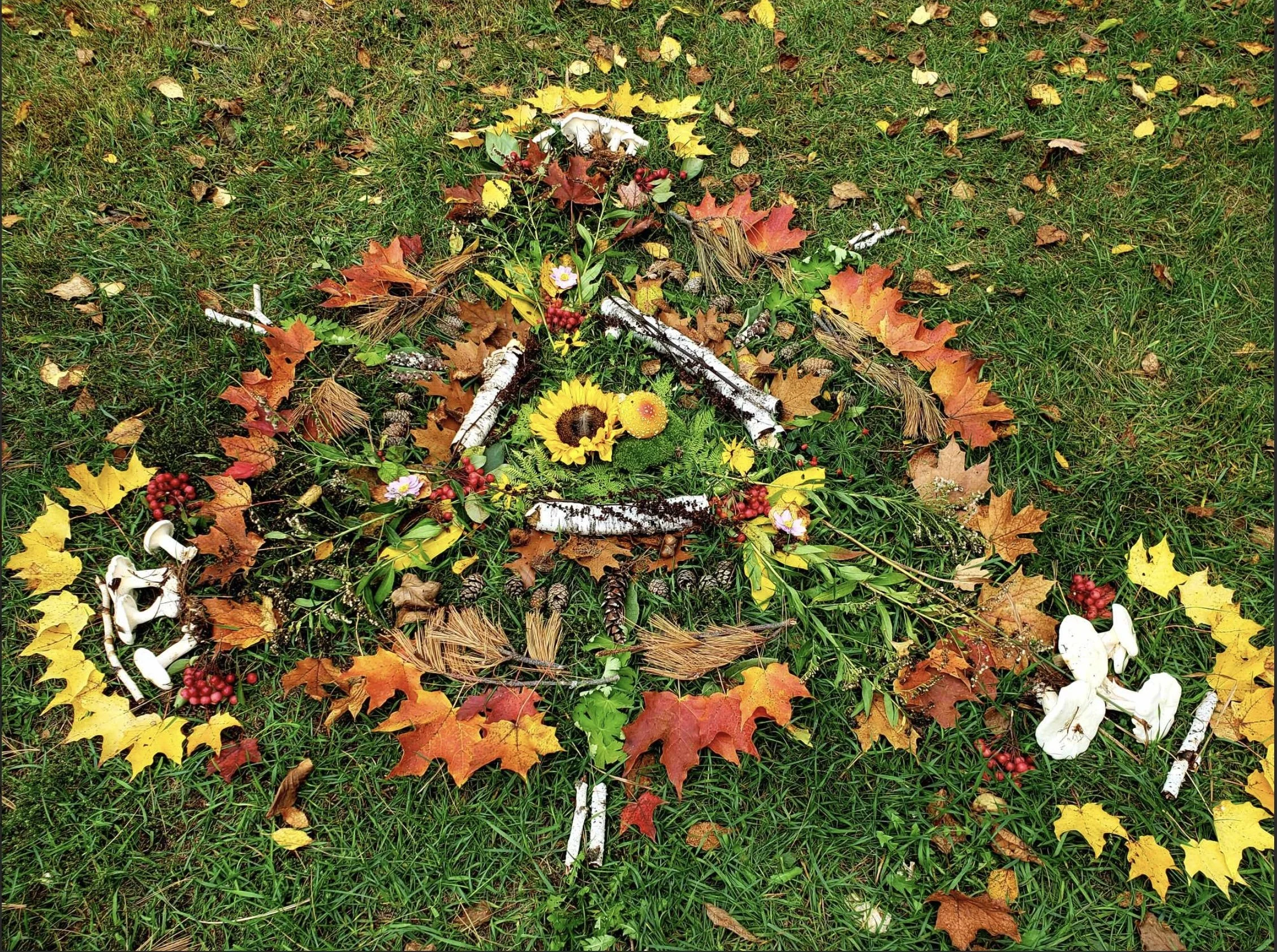 Image 6-15-25 at 5.14 PM.jpeg