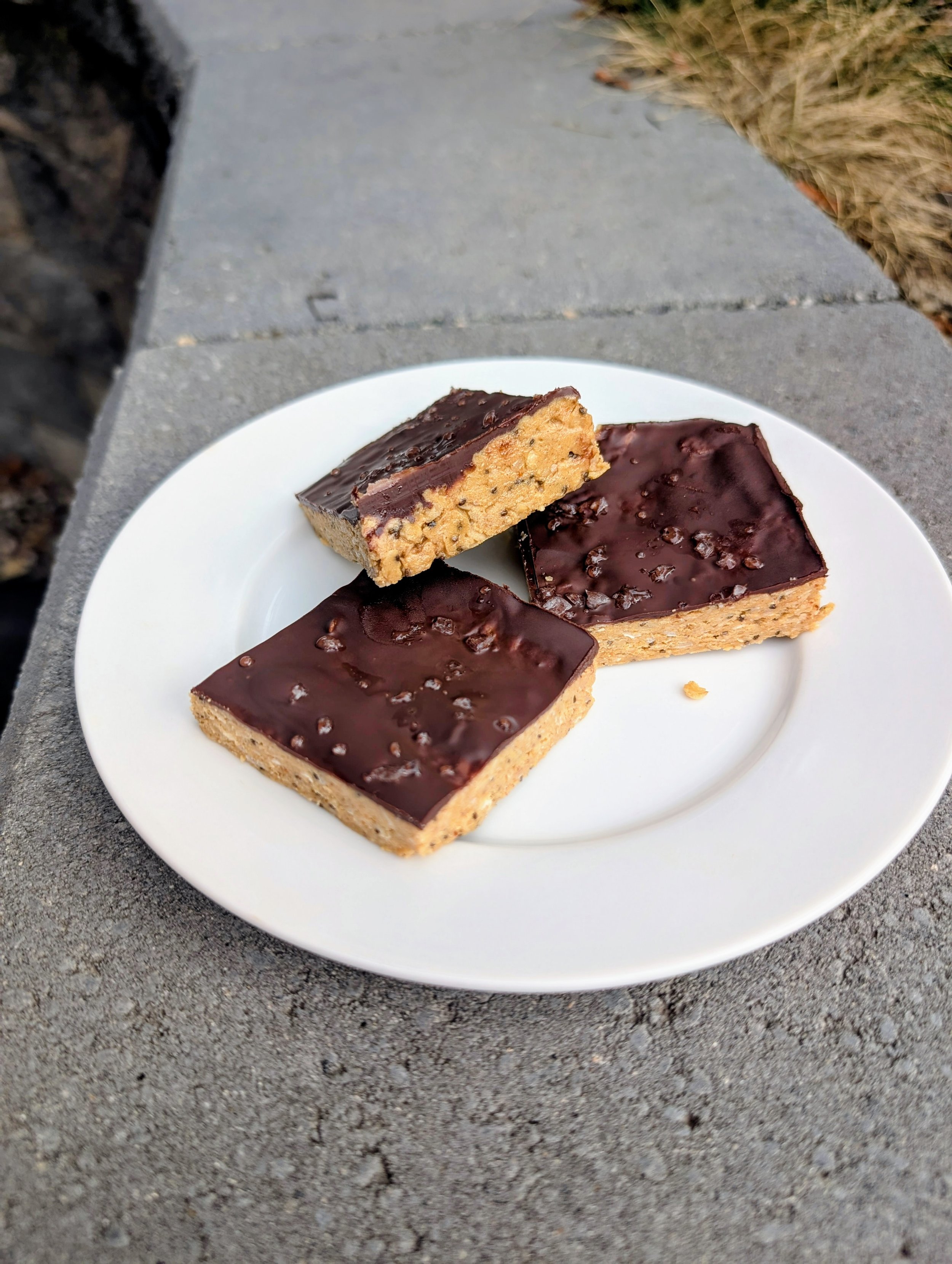 peanut butter coconut protein bars.jpg