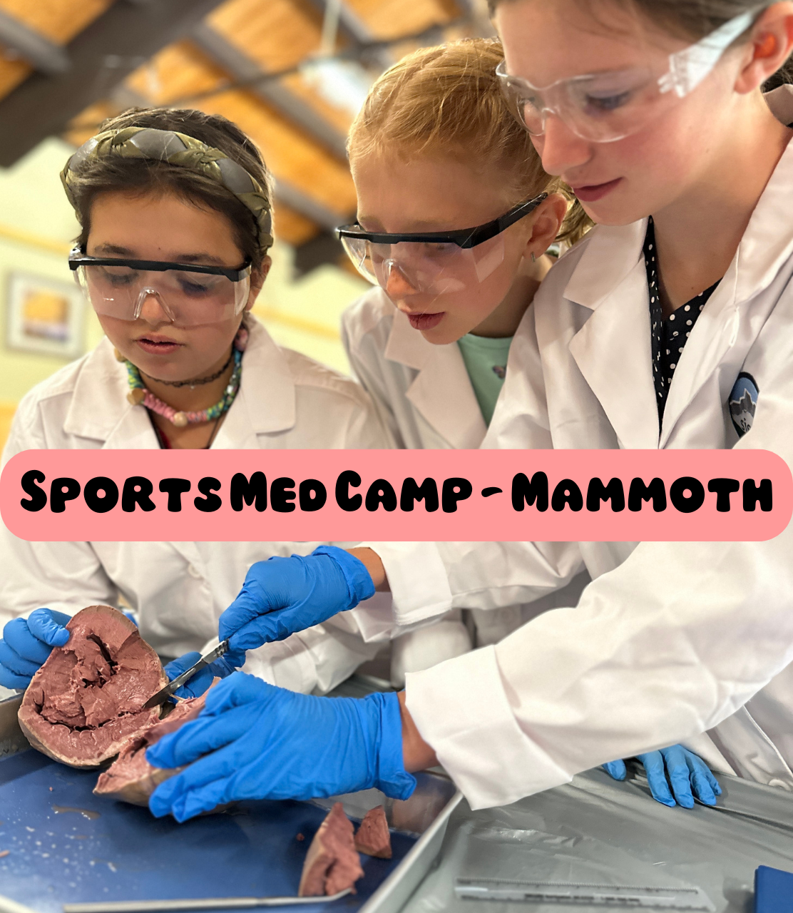 Sports med - Mam.png