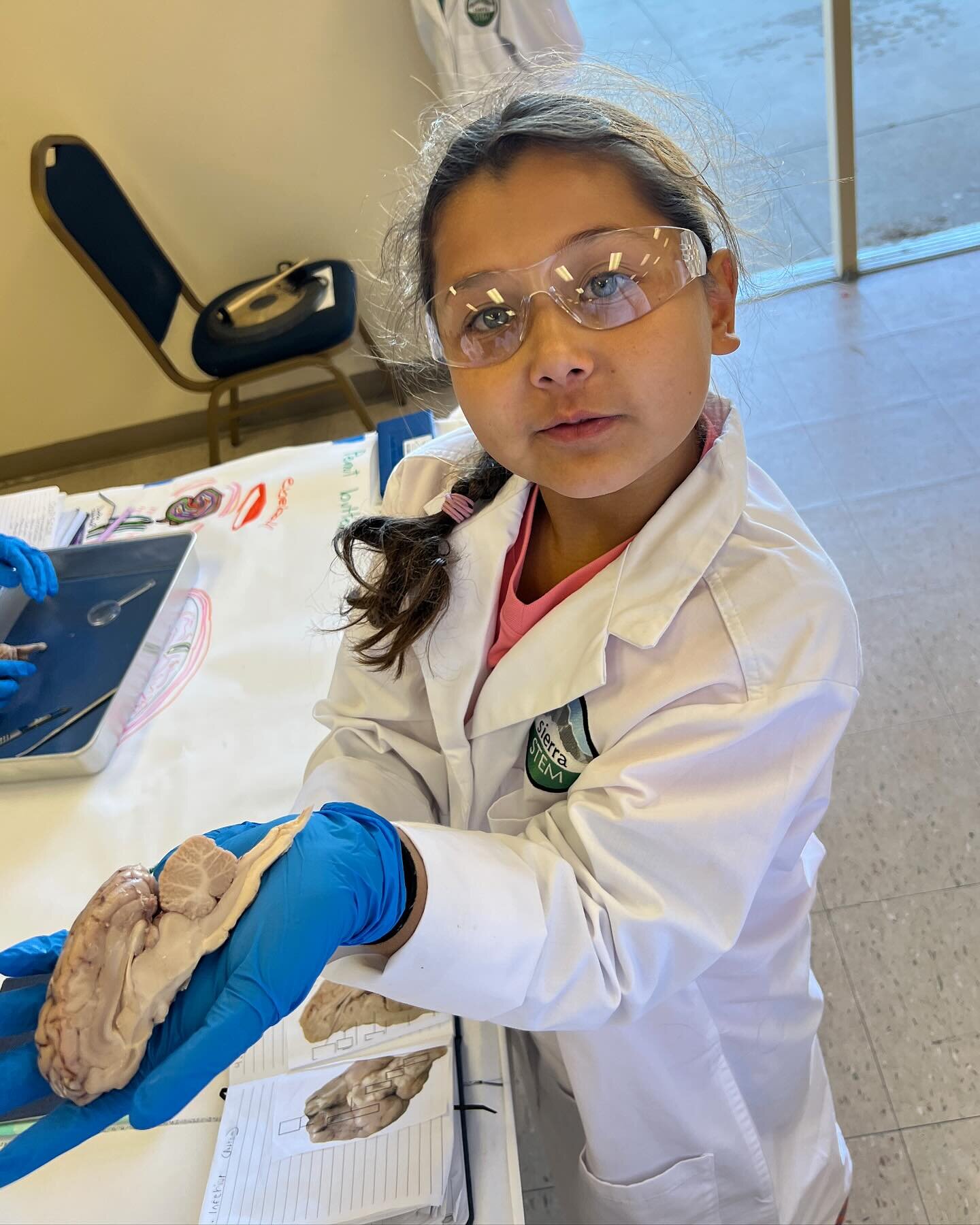 Happy Women in STEM Day! We love inspiring women and girls to pursue their passions for STEM through meaningful fieldwork and lab experiences with Sierra STEM. Thanks to all of the incredible woman scientists who have participated in our programs!
.
