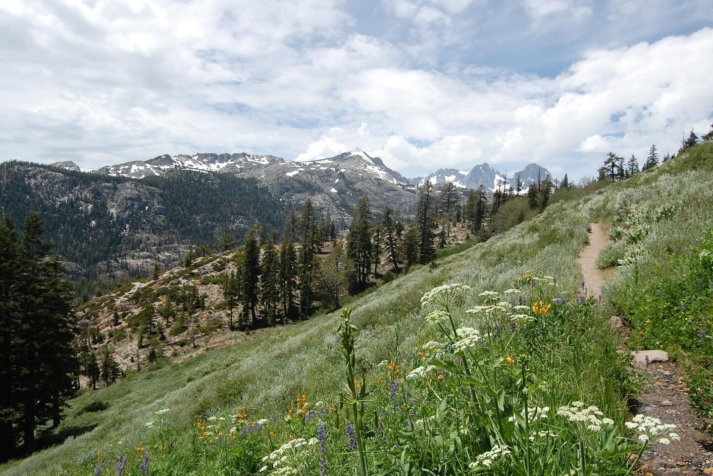 Roses are red. violets are blue. We love STEM outdoors, and hope you do too! This Valentines&rsquo; Day, we&rsquo;re thinking about the places we love at Sierra STEM. Swipe to see the places we love, here in our backyard here at Sierra STEM!
.
.
📍An
