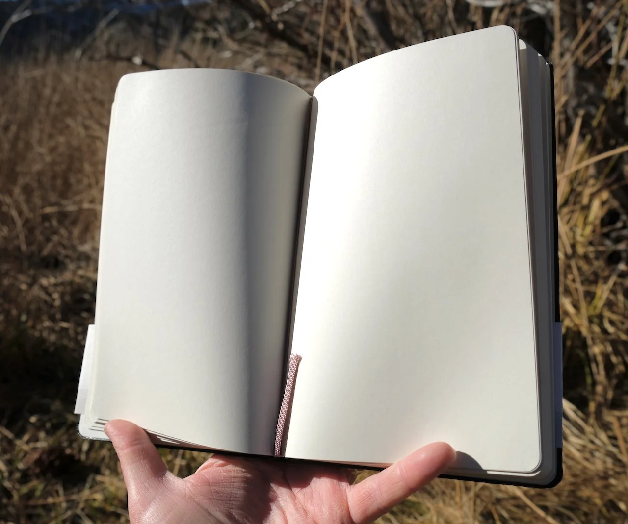 SS-Moleskine notebook pages.jpeg