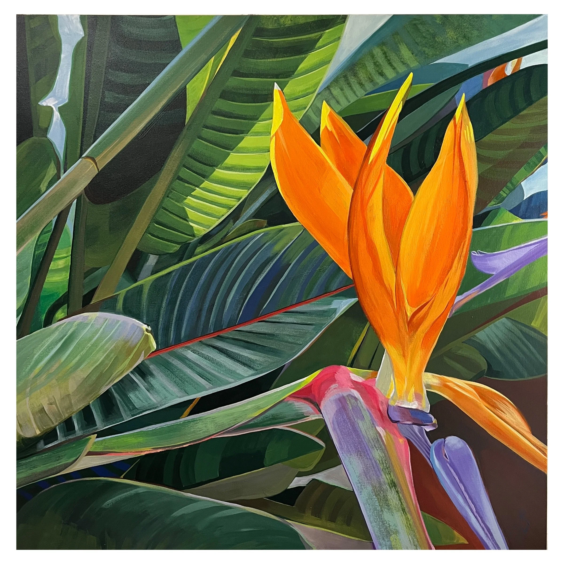 Bird of Paradise, 2026