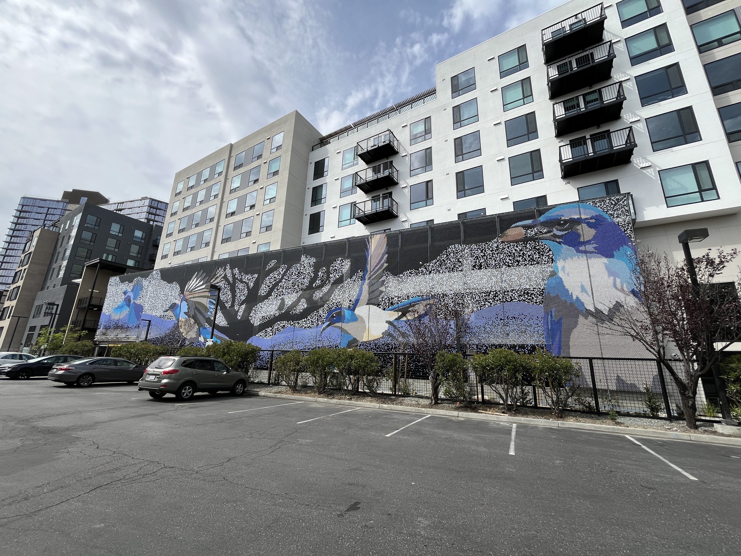 Tasman Dedot, Santa Clara Ca