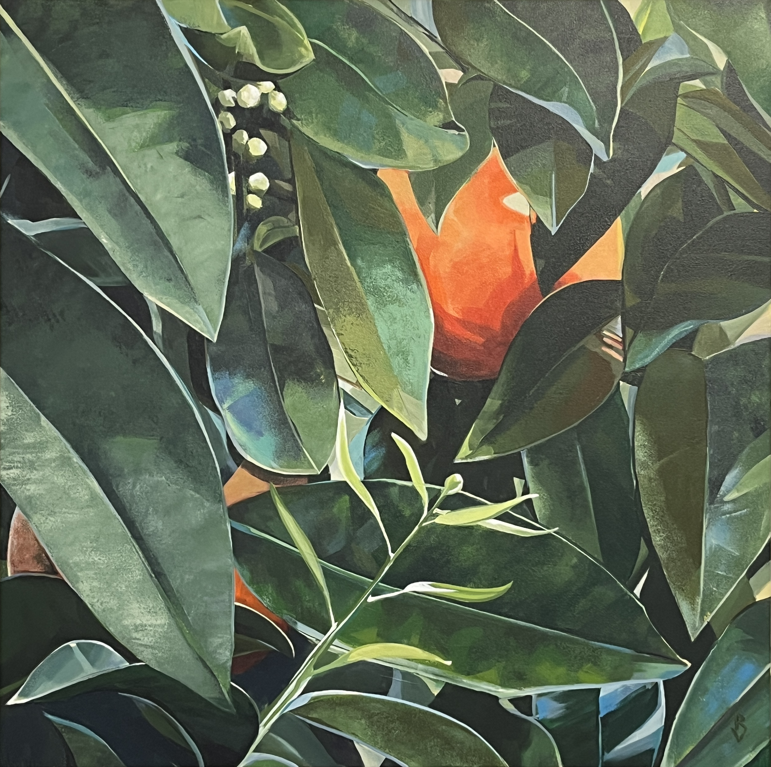 Commission Portfolio: Starbucks (2024)