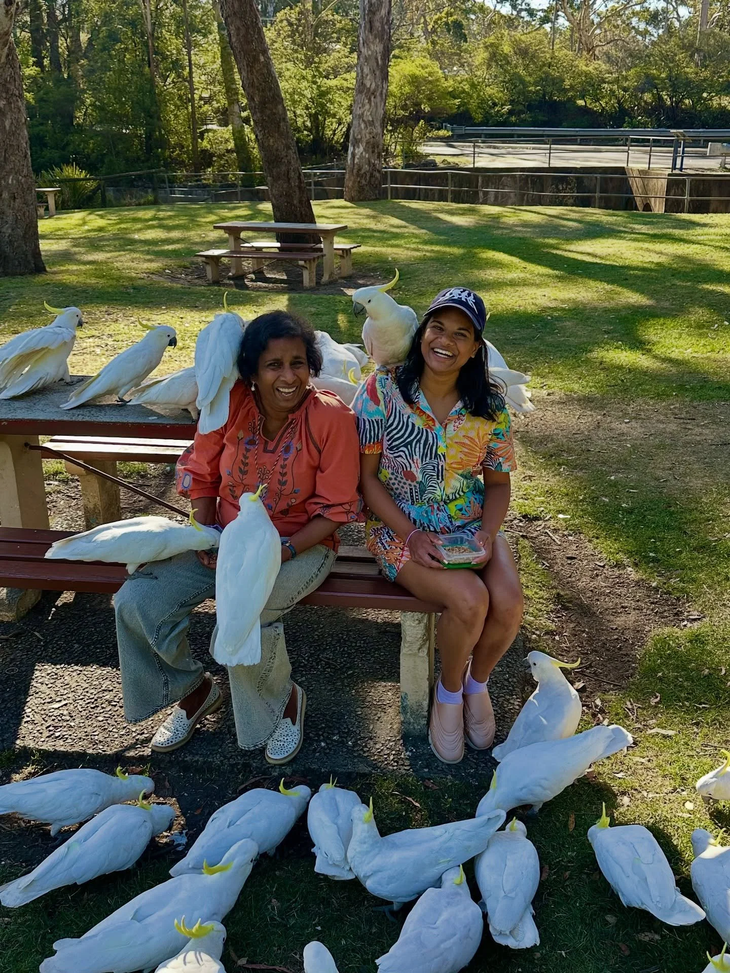 Commemorated the 10th anniversary of my dad&rsquo;s passing by hosting Mama Halwala in the Blue Mountains ✨