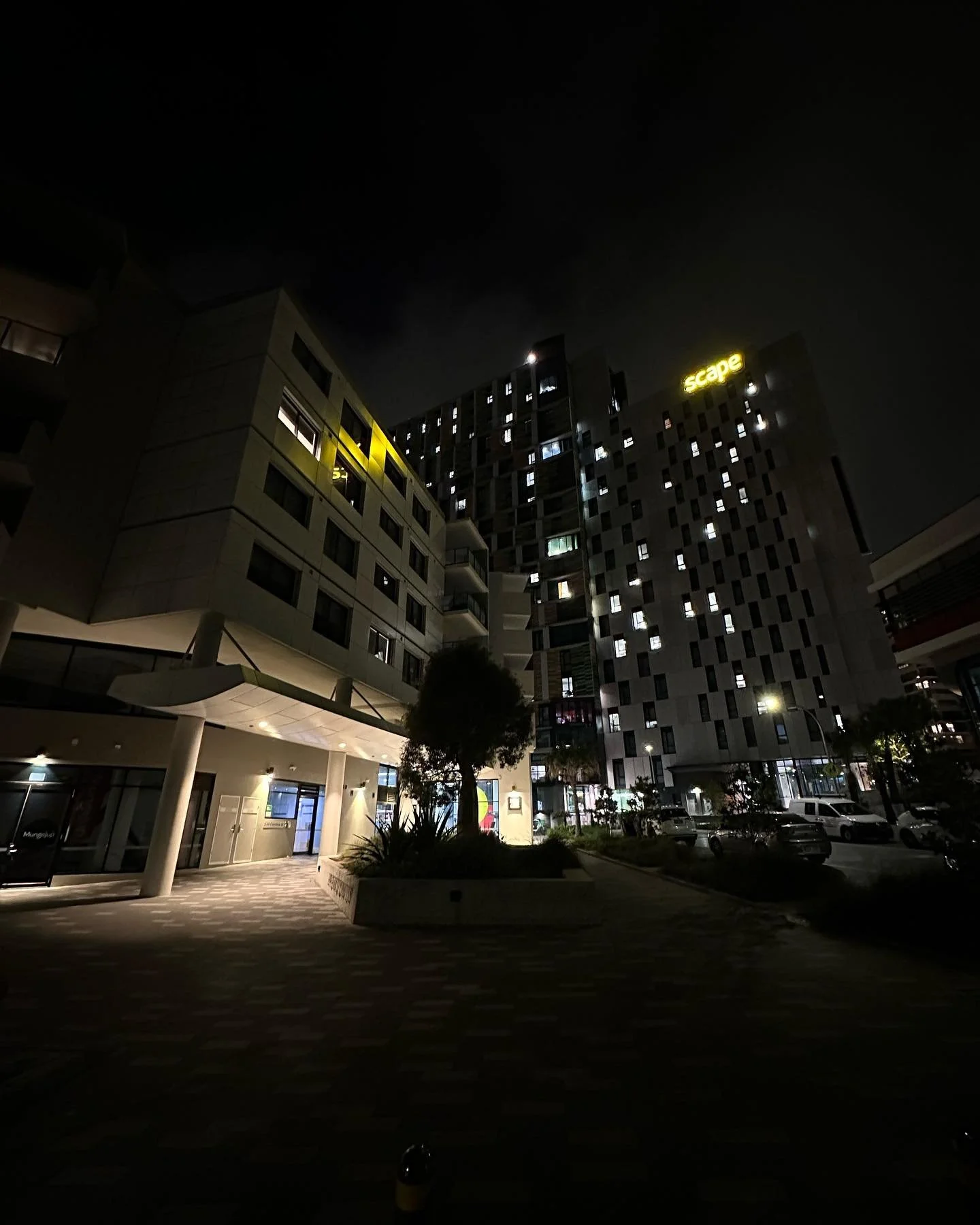 Local Bright Spots 💡🤩