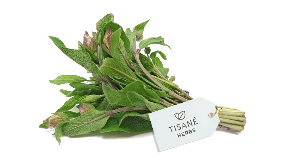 tea-branding-design-company-nyc.jpg
