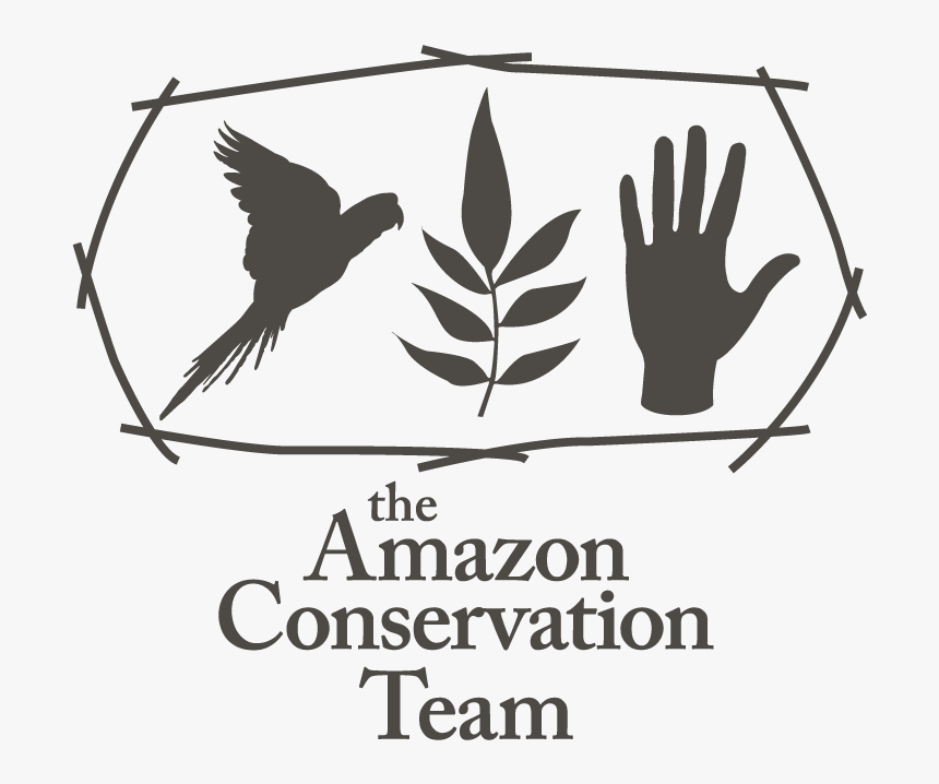 Amazon_1.png