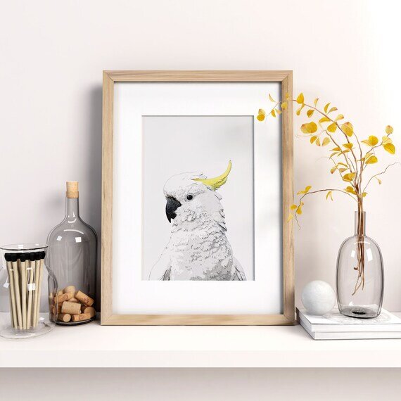 https://i.etsystatic.com/17042014/r/il/a6297c/3262636866/il_570xN.3262636866_i847.jpg