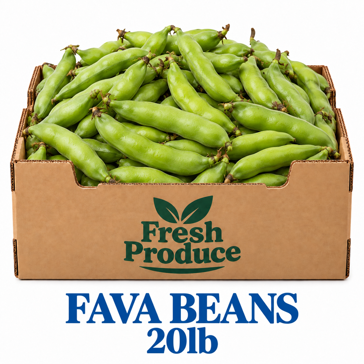 Fava Beans 20lb