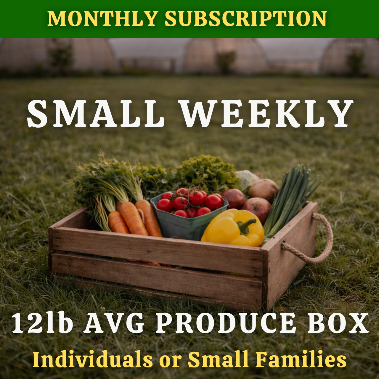 MONTHLY | SMALL 12LB WEEKLY PRODUCE BOX — $200 EVERY 4 WEEKS
