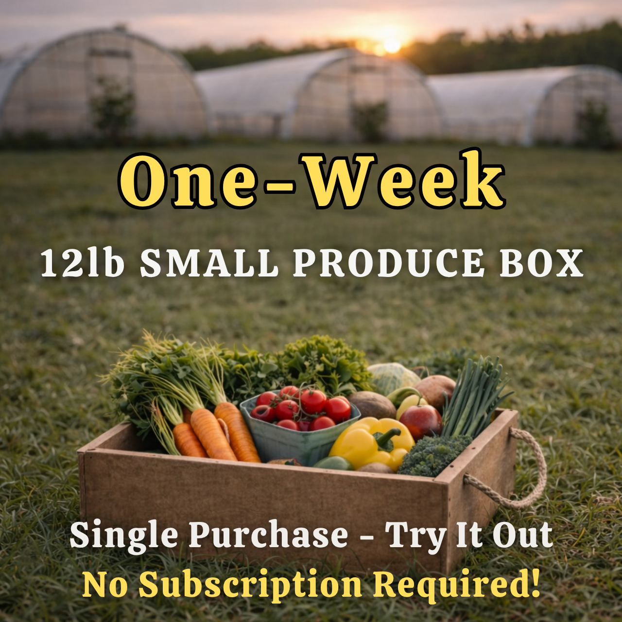 TRIAL 12lb Small Box
