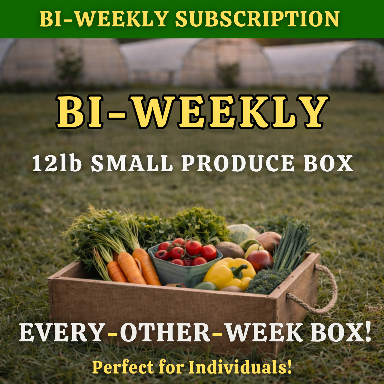 BI-WEEKLY | SMALL 12LB PRODUCE BOX — $55 EVERY 2 WEEKS