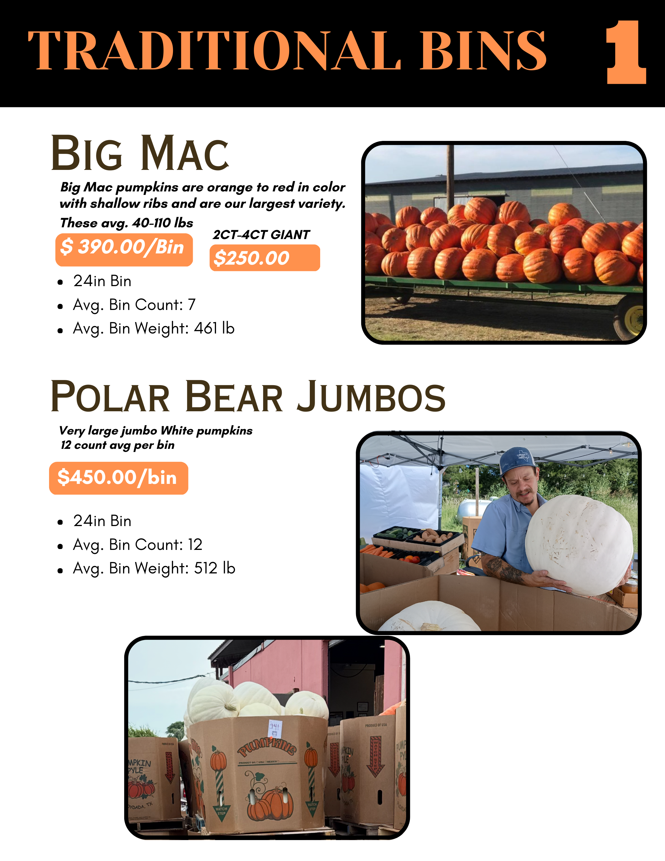 2025 pumpkins catalog (1).png