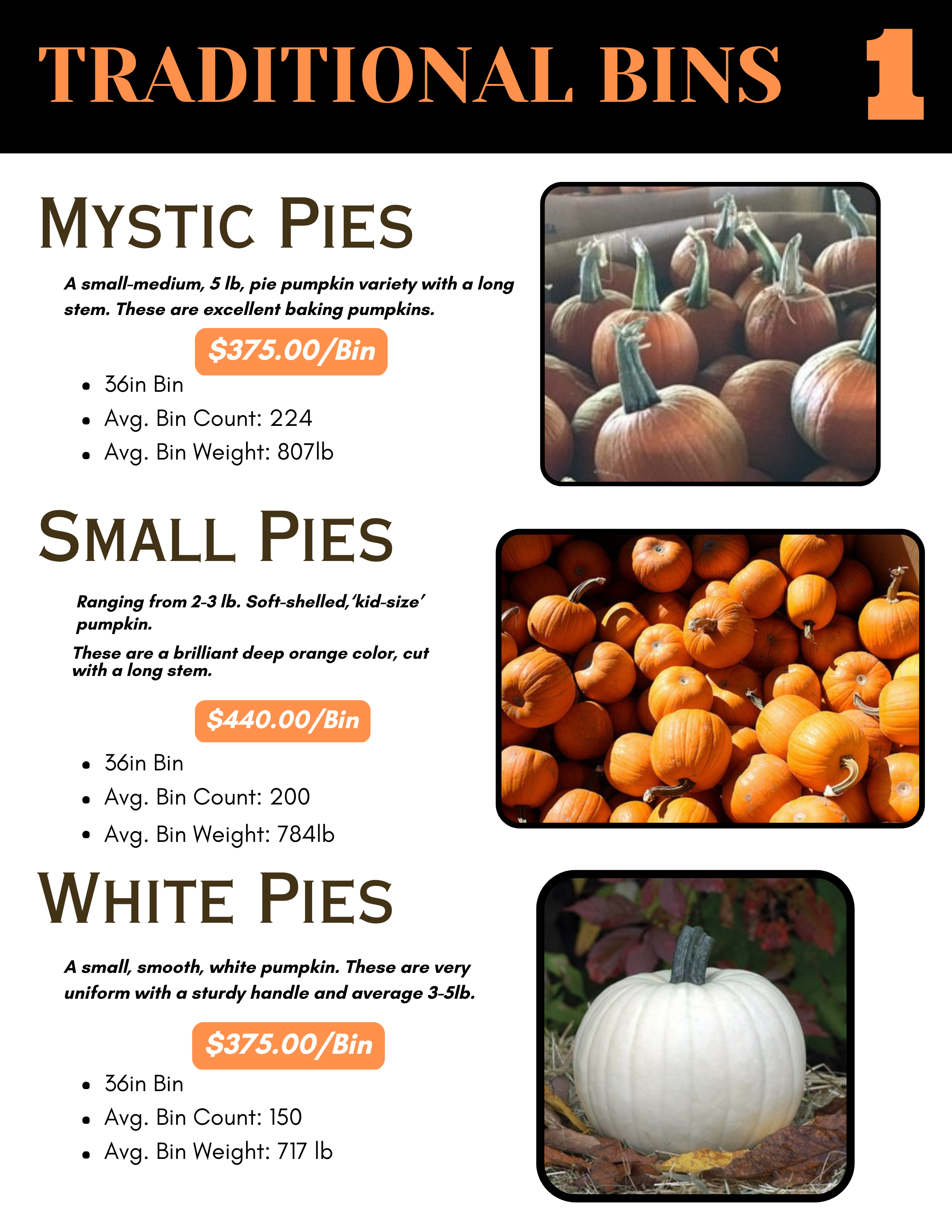 2025 pumpkins catalog (2).png