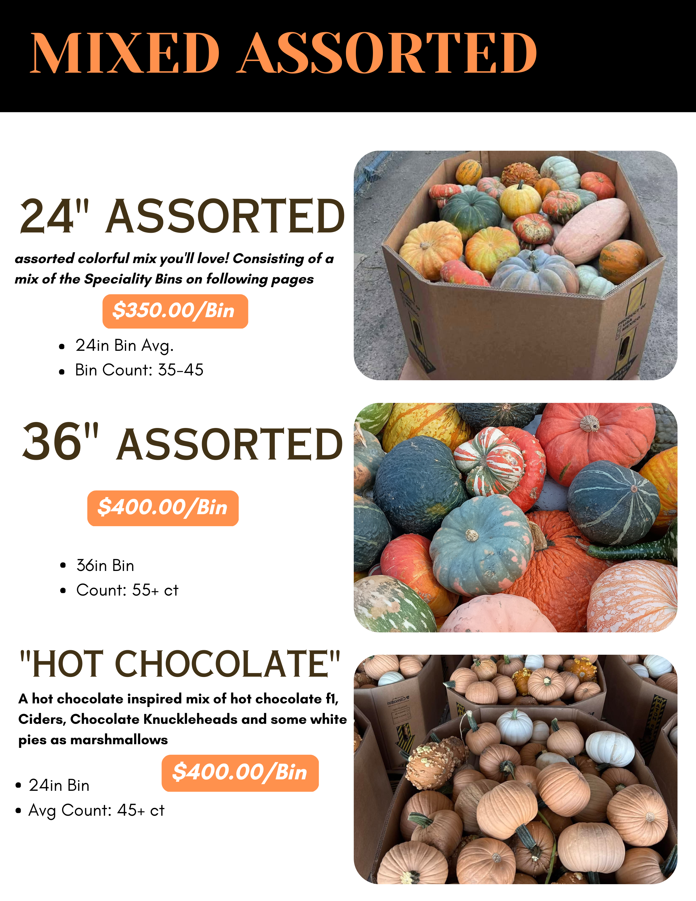 2025 pumpkins catalog (3).png