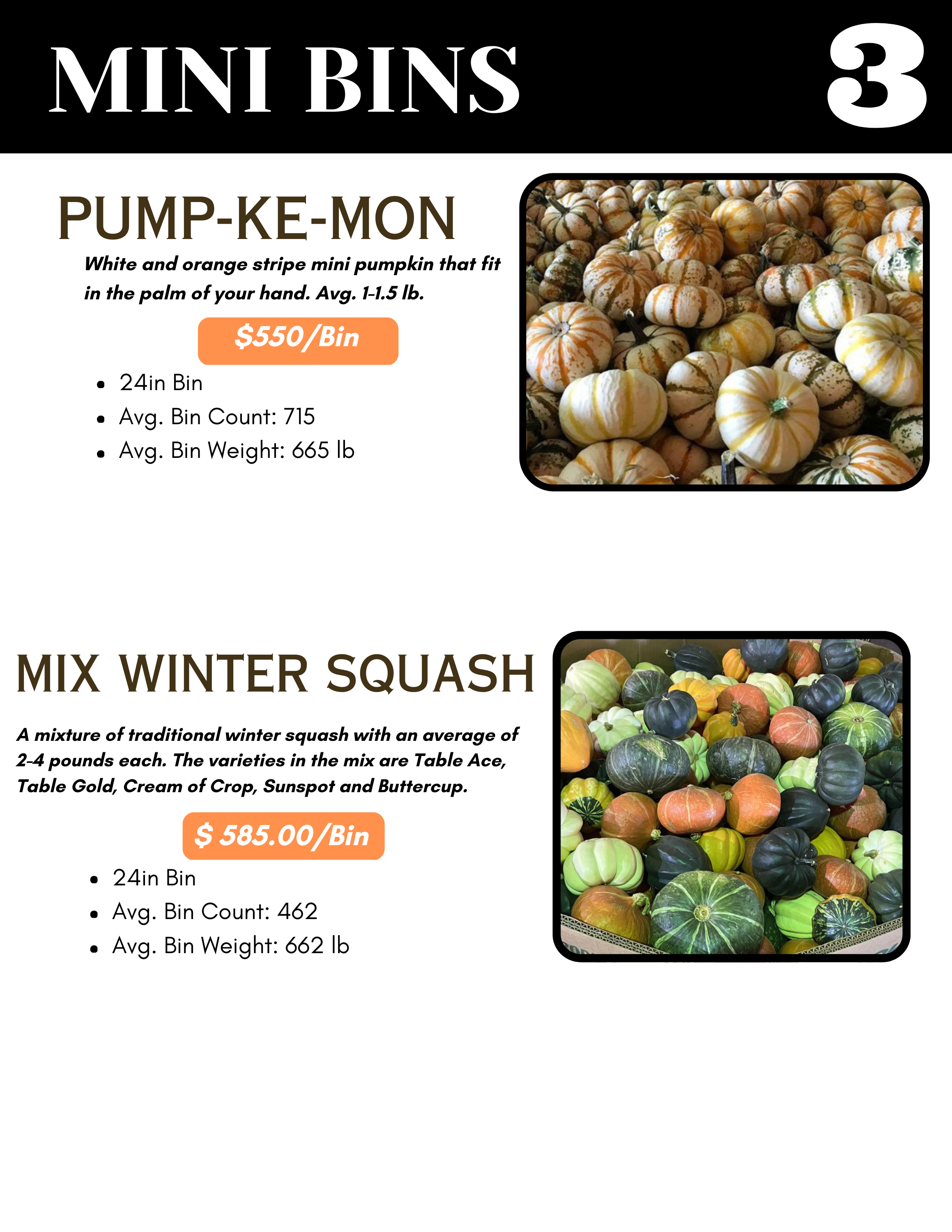 2025 pumpkins catalog (5).png