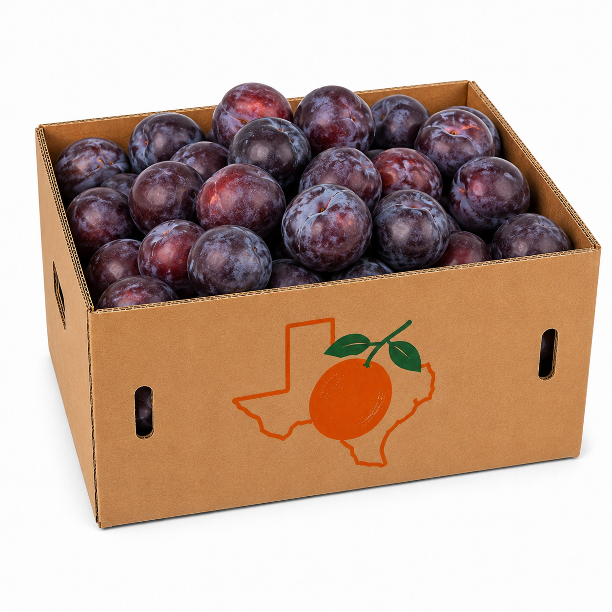 25lb Plum Box