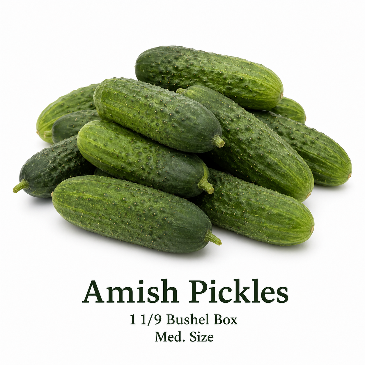 Amish Pickling Cucumbers 1 1/9th bushel crate