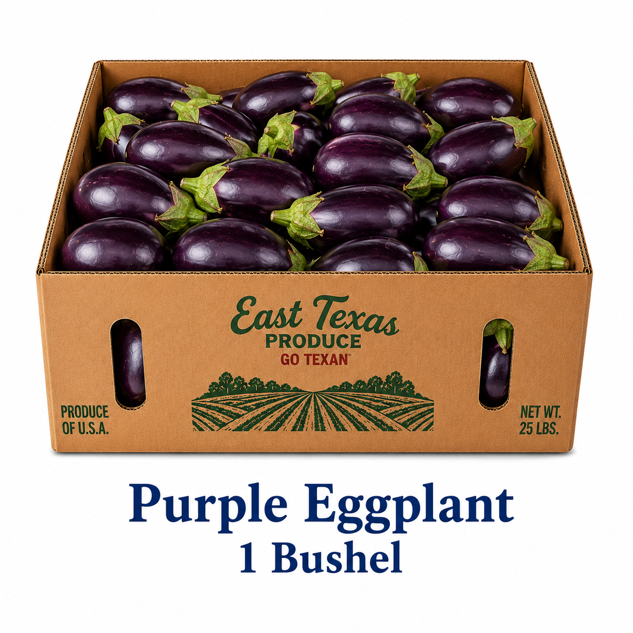 Purple Eggplant Bushel