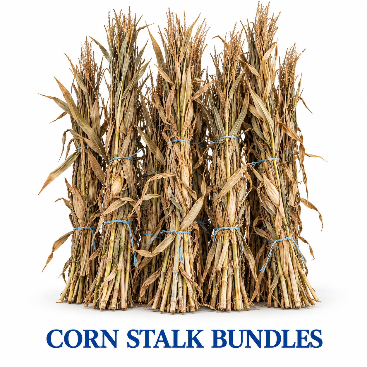 Corn Stalk Bundles - Greenville/Bonham Only